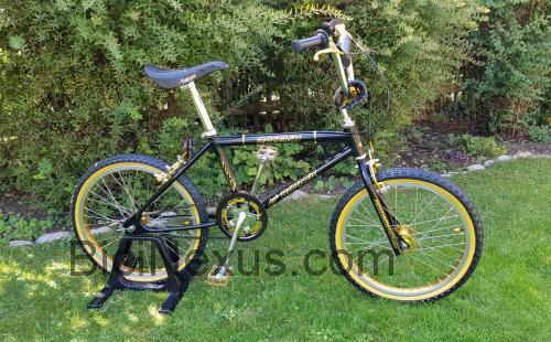 Raleigh Ultra Burner ficha técnica y opiniones